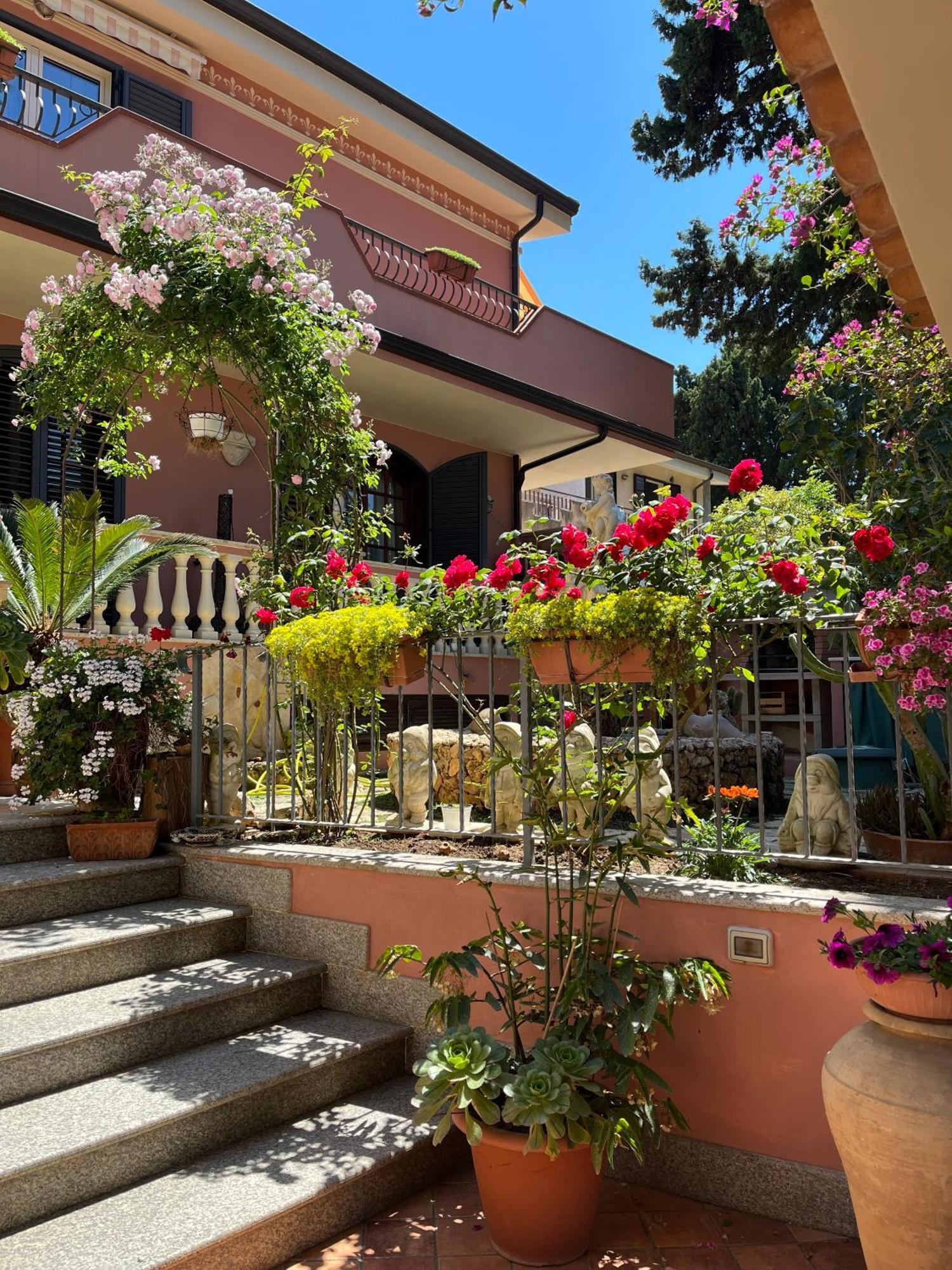 B&B Villa Regina Santa Domenica  Exterior foto